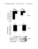 Uses of tetrahydrobiopterin, sepiapterin and derivatives thereof diagram and image