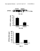 Uses of tetrahydrobiopterin, sepiapterin and derivatives thereof diagram and image