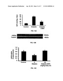 Uses of tetrahydrobiopterin, sepiapterin and derivatives thereof diagram and image