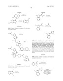 AZAINDAZOLE COMPOUNDS AND METHODS OF USE diagram and image