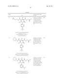 PROLYL HYDROXYLASE INHIBITORS diagram and image