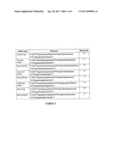NUCLEIC ACID MOLECULE AND METHOD OF TARGETING GENE EXPRESSION TO GLIOMAS diagram and image