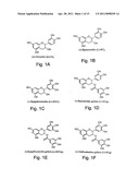 CATHECHINS FOR THE TREATMENT OF SYSTEMIC AA AMYLOIDOSIS diagram and image