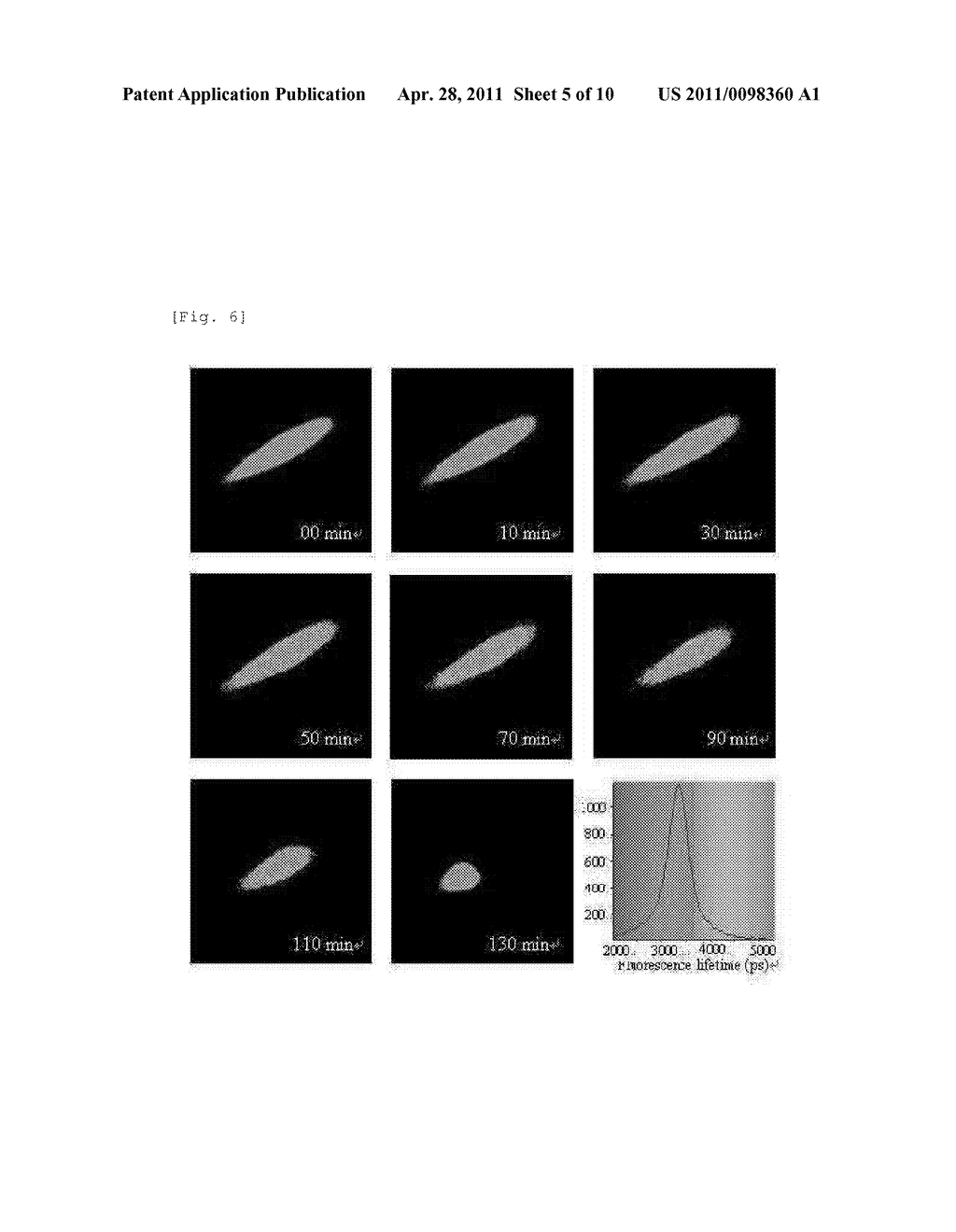 ADAMANTANE DERIVATIVE FOR INHIBITING TOXICITY OF AMYLOID OLIGOMER - diagram, schematic, and image 06