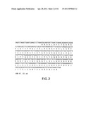 SiRNA Useful to Suppress expression of eIF-5A1 diagram and image