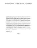 SiRNA Useful to Suppress expression of eIF-5A1 diagram and image