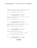 SiRNA Useful to Suppress expression of eIF-5A1 diagram and image