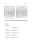 SiRNA Useful to Suppress expression of eIF-5A1 diagram and image