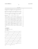 SiRNA Useful to Suppress expression of eIF-5A1 diagram and image