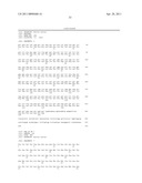 SiRNA Useful to Suppress expression of eIF-5A1 diagram and image