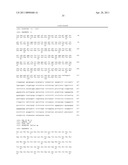 SiRNA Useful to Suppress expression of eIF-5A1 diagram and image