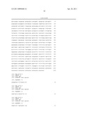 SiRNA Useful to Suppress expression of eIF-5A1 diagram and image