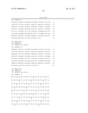 SiRNA Useful to Suppress expression of eIF-5A1 diagram and image