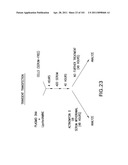 SiRNA Useful to Suppress expression of eIF-5A1 diagram and image