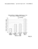 SiRNA Useful to Suppress expression of eIF-5A1 diagram and image