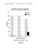 SiRNA Useful to Suppress expression of eIF-5A1 diagram and image