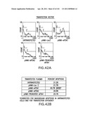 SiRNA Useful to Suppress expression of eIF-5A1 diagram and image