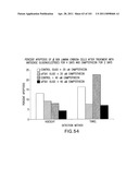 SiRNA Useful to Suppress expression of eIF-5A1 diagram and image