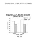 SiRNA Useful to Suppress expression of eIF-5A1 diagram and image