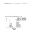 SiRNA Useful to Suppress expression of eIF-5A1 diagram and image