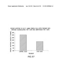 SiRNA Useful to Suppress expression of eIF-5A1 diagram and image