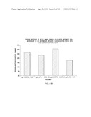 SiRNA Useful to Suppress expression of eIF-5A1 diagram and image