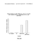 SiRNA Useful to Suppress expression of eIF-5A1 diagram and image