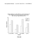 SiRNA Useful to Suppress expression of eIF-5A1 diagram and image