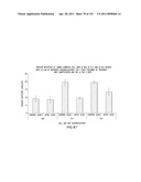 SiRNA Useful to Suppress expression of eIF-5A1 diagram and image