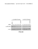 SiRNA Useful to Suppress expression of eIF-5A1 diagram and image