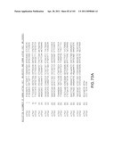 SiRNA Useful to Suppress expression of eIF-5A1 diagram and image