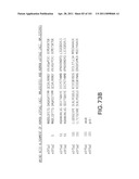 SiRNA Useful to Suppress expression of eIF-5A1 diagram and image