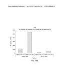 SiRNA Useful to Suppress expression of eIF-5A1 diagram and image