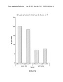 SiRNA Useful to Suppress expression of eIF-5A1 diagram and image