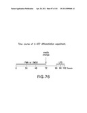 SiRNA Useful to Suppress expression of eIF-5A1 diagram and image