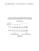 SiRNA Useful to Suppress expression of eIF-5A1 diagram and image