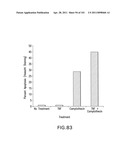 SiRNA Useful to Suppress expression of eIF-5A1 diagram and image