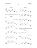 OXAZOLIDINONE DERIVATIVE HAVING FUSED RING diagram and image