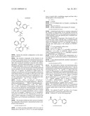 BIDENTATE SECONDARY PHOSPHINE OXIDE CHIRAL LIGANDS FOR USE IN ASYMMETRIC ADDITION REACTIONS diagram and image