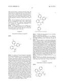 BIDENTATE SECONDARY PHOSPHINE OXIDE CHIRAL LIGANDS FOR USE IN ASYMMETRIC ADDITION REACTIONS diagram and image