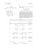 BIDENTATE SECONDARY PHOSPHINE OXIDE CHIRAL LIGANDS FOR USE IN ASYMMETRIC ADDITION REACTIONS diagram and image