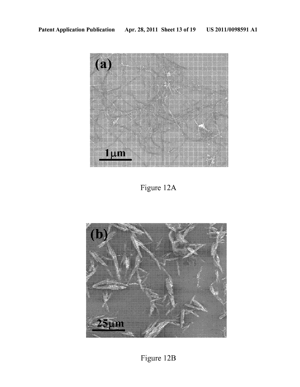 CARBON NANOTUBE STRUCTURES IN SENSOR APPARATUSES FOR ANALYZING BIOMARKERS IN BREATH SAMPLES - diagram, schematic, and image 14