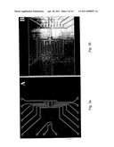 MICROFLUIDIC SAMPLERS AND METHODS FOR MAKING AND USING THEM diagram and image