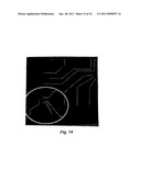 MICROFLUIDIC SAMPLERS AND METHODS FOR MAKING AND USING THEM diagram and image