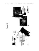 MICROFLUIDIC SAMPLERS AND METHODS FOR MAKING AND USING THEM diagram and image