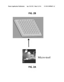 DISSOLVABLE MICRONEEDLE ARRAYS FOR TRANSDERMAL DELIVERY TO HUMAN SKIN diagram and image