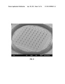 DISSOLVABLE MICRONEEDLE ARRAYS FOR TRANSDERMAL DELIVERY TO HUMAN SKIN diagram and image