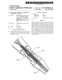 CONNECTOR SYSTEM FOR A PROXIMALLY TRIMMABLE CATHETER diagram and image