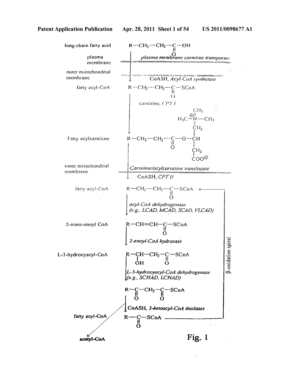 Functionalization of Micro- and Nano-Particles for Selective Attachment to Calcium Biomineral Surfaces - diagram, schematic, and image 02