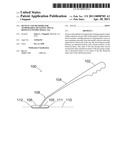 Devices and Methods for Temporarily Retaining Spinal Rootlets within Dural Sac diagram and image